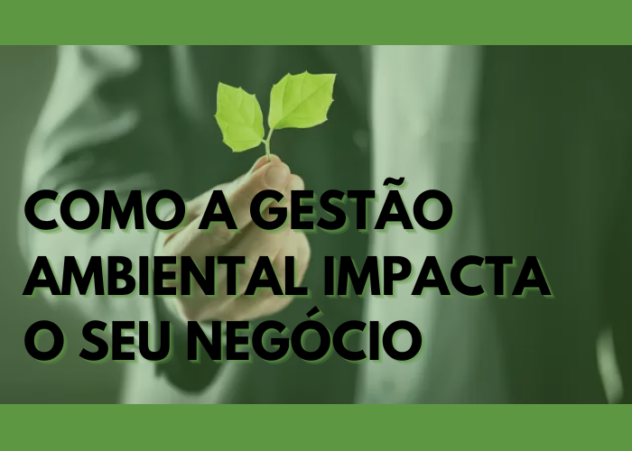 Descubra como a gestão ambiental impacta seu negócio