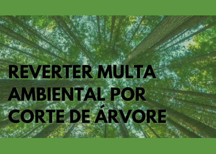 Como reverter multa ambiental por corte de árvore
