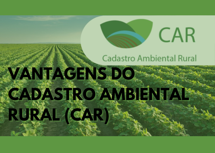 Vantagens do Cadastro Ambiental Rural (CAR)