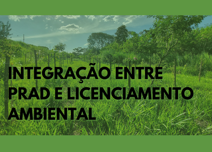 Integração entre PRAD e Licenciamento Ambiental: aspectos legais e práticos