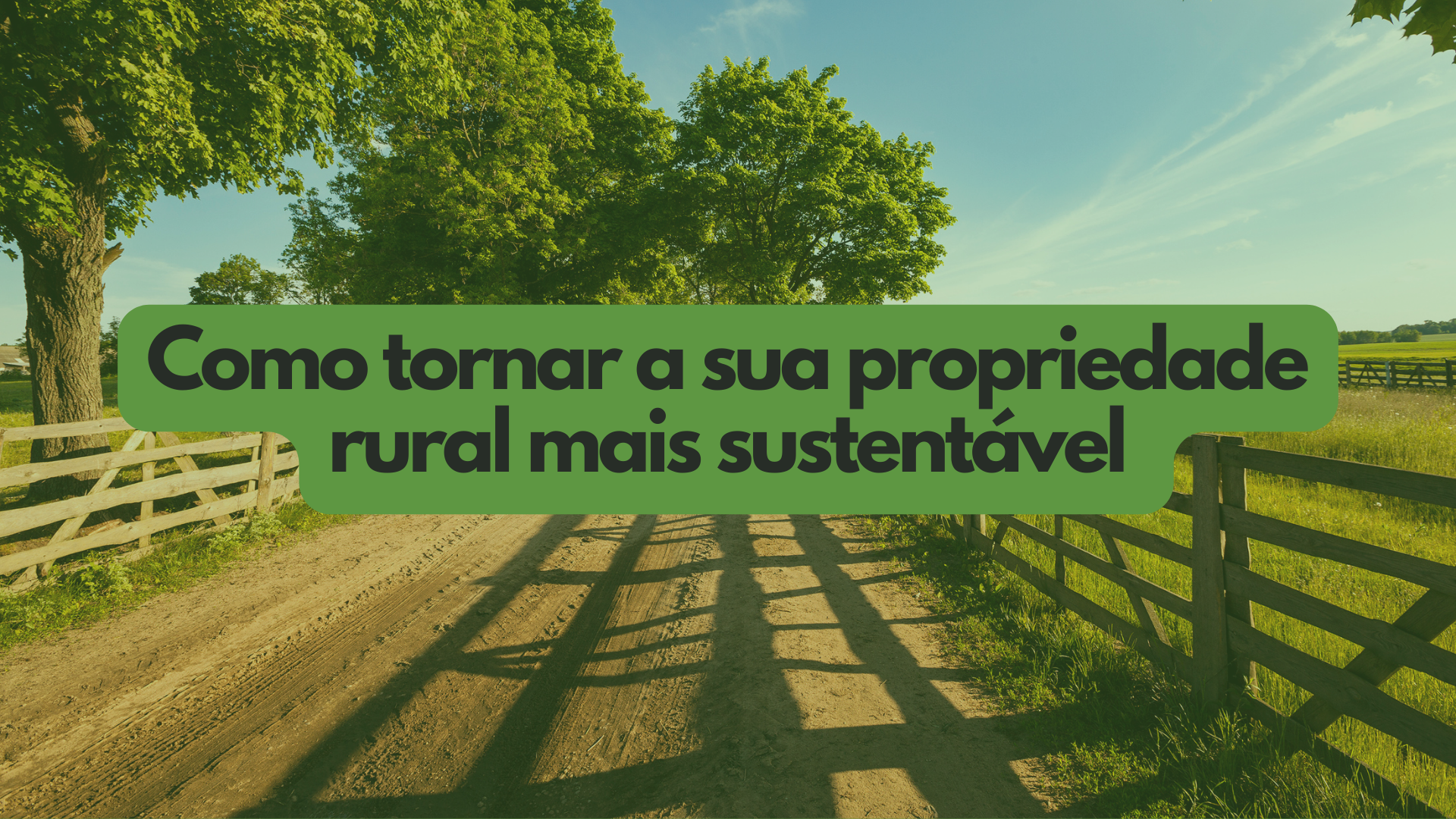 Propriedade rural: como torná-la mais sustentável