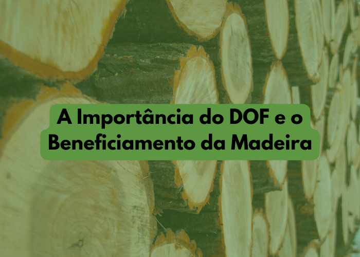 A Importância do DOF e o Beneficiamento da Madeira