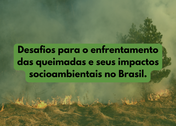 Desafios das queimadas ilegais e seus impactos no Brasil