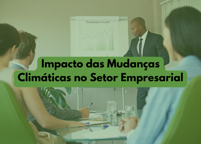 Impacto das Mudanças Climáticas no Setor Empresarial