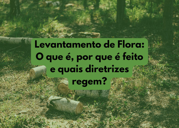 Levantamento de Flora: por que fazer e quais as diretrizes?