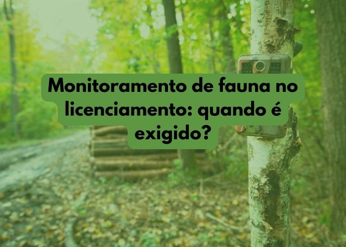 Monitoramento de fauna no licenciamento: quando é exigido?
