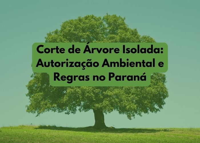 Corte de Árvore Isolada: Autorização Ambiental e Regras no Paraná