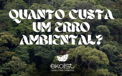 QUANTO CUSTA UM ERRO AMBIENTAL?