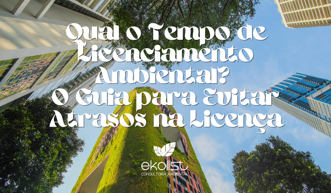Qual o Tempo de Licenciamento Ambiental?