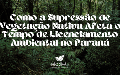 Como a Supressão de Vegetação Nativa Afeta o Tempo de Licenciamento Ambiental no Paraná
