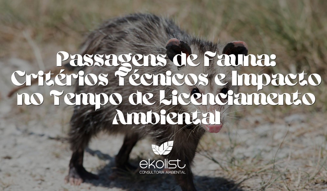 Passagens de Fauna: