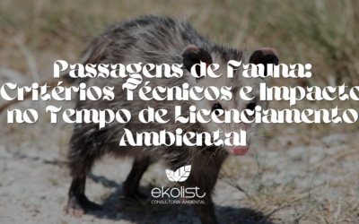 Passagens de Fauna: