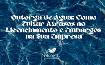 Outorga de Água